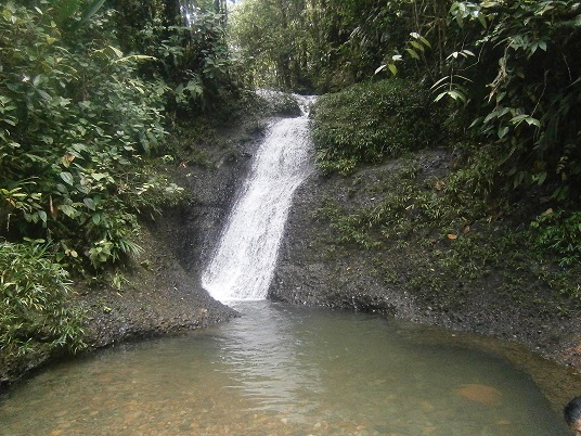 Fotografía de Edwin Alberto Martinez Vanegas disfrutando de la naturaleza